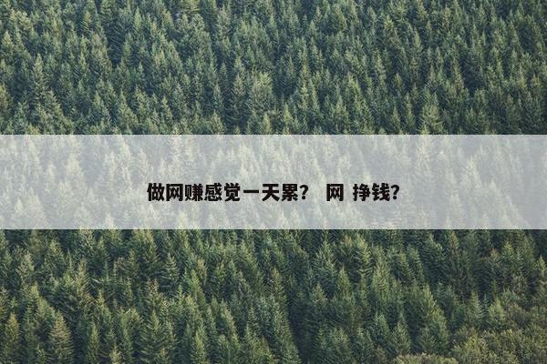 做网赚感觉一天累? 网 挣钱? 做网赚感觉一天累? 网 挣钱?