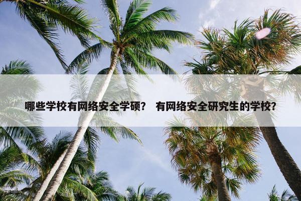 哪些学校有网络安全学硕？ 有网络安全研究生的学校？