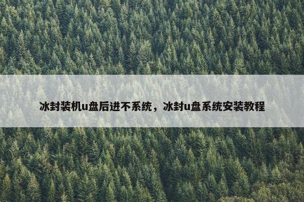 冰封装机u盘后进不系统，冰封u盘系统安装教程