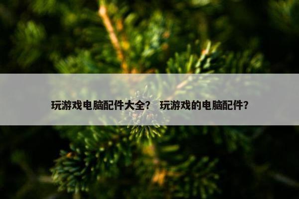玩游戏电脑配件大全? 玩游戏的电脑配件? 玩游戏电脑配件大全? 玩游戏的电脑配件?