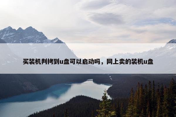 买装机判拷到u盘可以启动吗，网上卖的装机u盘