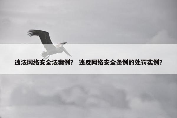 违法网络安全法案例? 违反网络安全条例的处罚实例? 违法网络安全法案例? 违反网络安全条例的处罚实例?