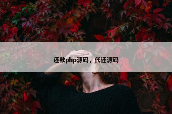 还款php源码,代还源码 还款php源码,代还源码