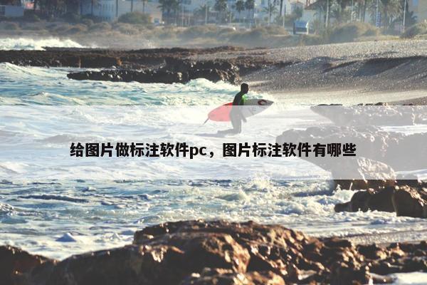 给图片做标注软件pc,图片标注软件有哪些 给图片做标注软件pc,图片标注软件有哪些