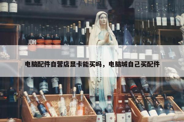 电脑配件自营店显卡能买吗，电脑城自己买配件