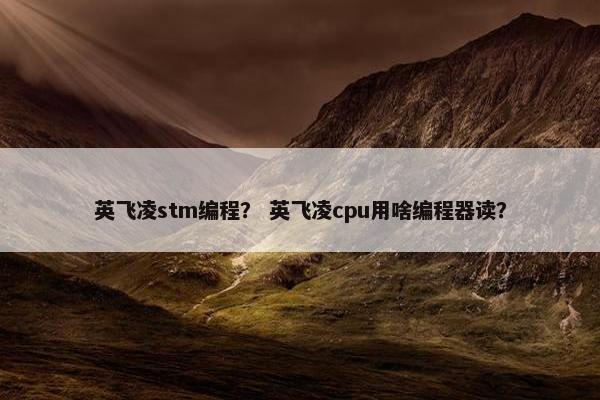 英飞凌stm编程？ 英飞凌cpu用啥编程器读？