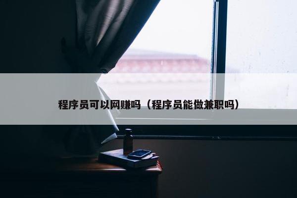 程序员可以网赚吗（程序员能做兼职吗）
