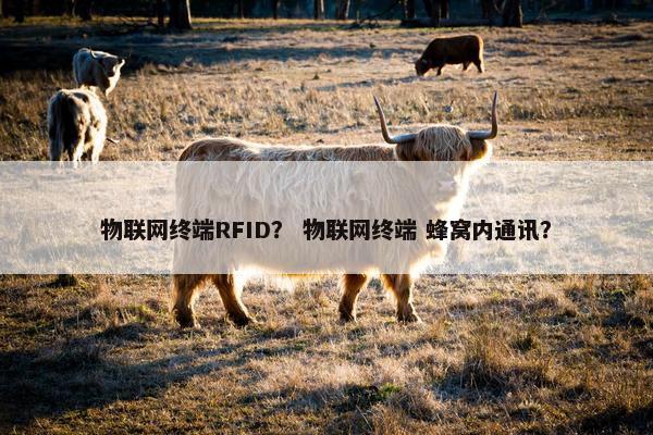 物联网终端RFID？ 物联网终端 蜂窝内通讯？