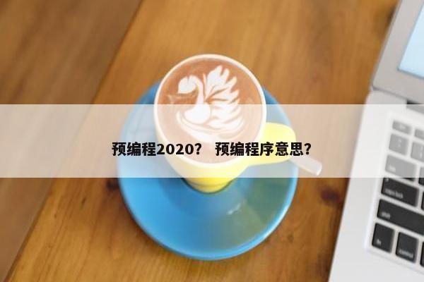 预编程2020？ 预编程序意思？