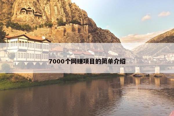 7000个网赚项目的简单介绍